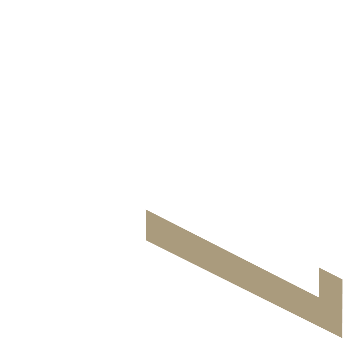 Strap_Brown_And_White